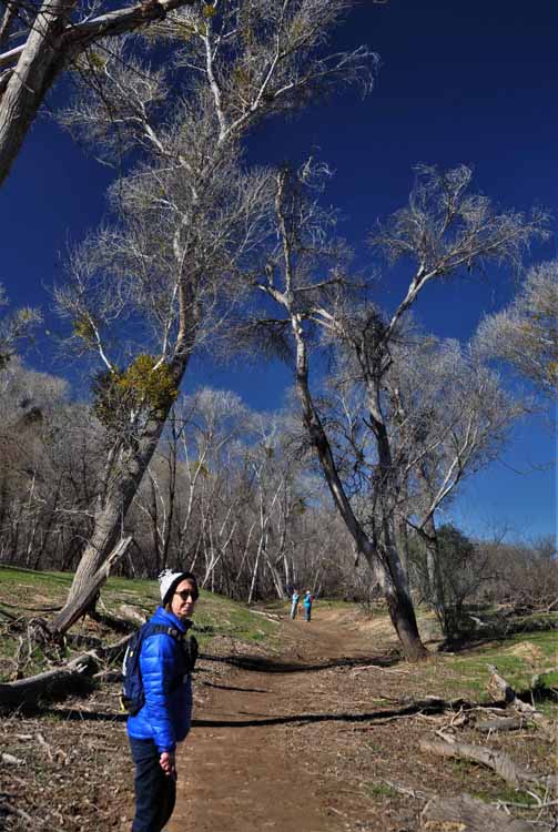 hiker